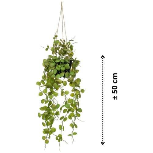 Emerald umjetni viseći grm ceropegije u posudi 50 cm - ceropegia 1 Cijena