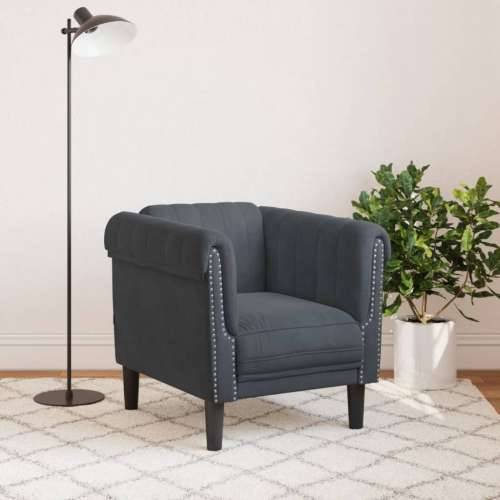 Fotelja tamnosiva baršunasta - Tamno siva Sofa Cijena