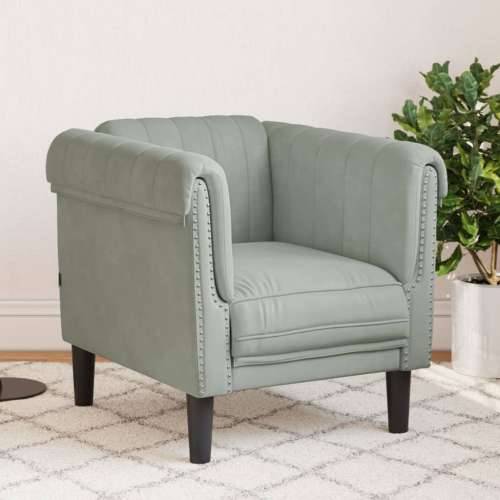 Fotelja svjetlosiva baršunasta - Svjetlosiva Sofa Cijena