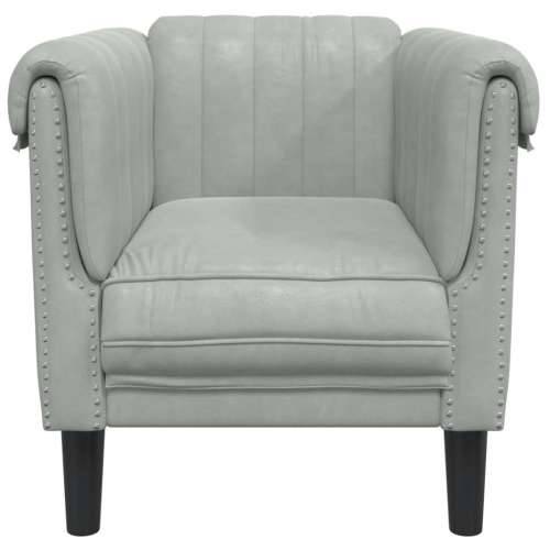 Fotelja svjetlosiva baršunasta - Svjetlosiva Sofa Cijena