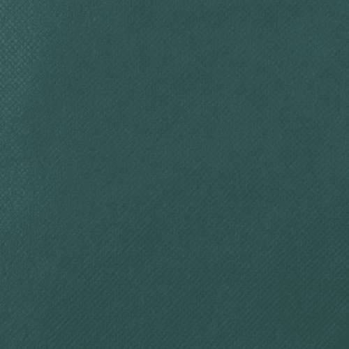 Navlake od flisa za biljke s vezicom 8 kom 70 g/m² 0,8 x 1 m - Zelena 0.8 x 1 m 8 Cijena