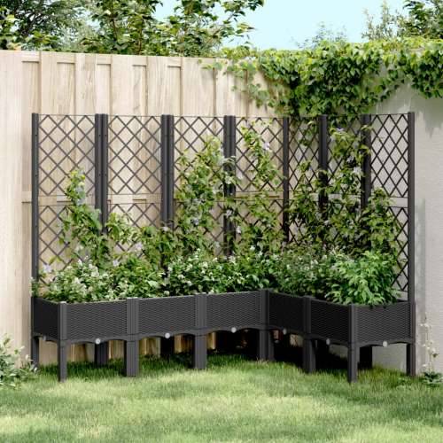 Vrtna sadilica s rešetkom crna 160 x 120 x 142 cm PP - Crna 160 x 120 x 142 cm 1 Cijena