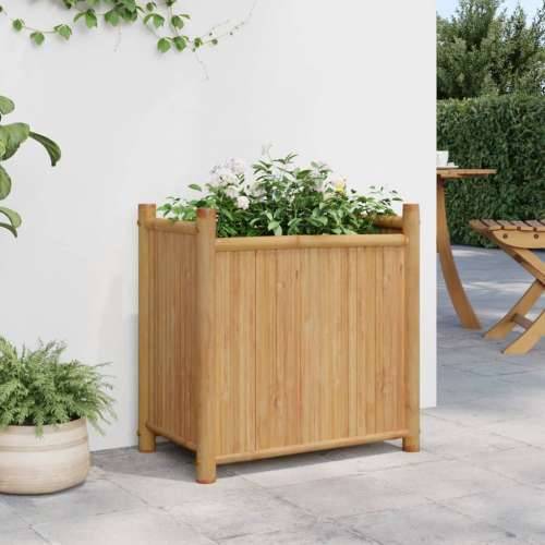 Sadilica 50 x 30 x 50 cm od bambusa - 50 x 30 x 50 cm 1 Cijena