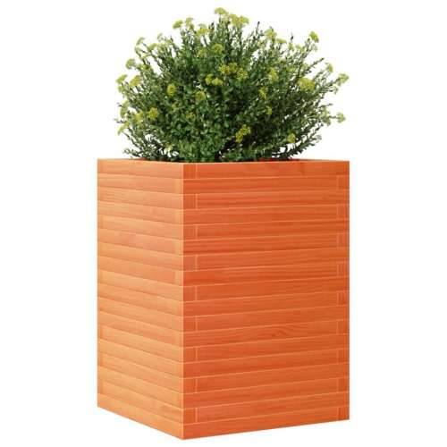 Vrtna sadilica voštano smeđe boje 50 x 50 x 68,5 cm od borovine - Voštano smeđa 50 x 50 x 68.5 cm 1 Cijena