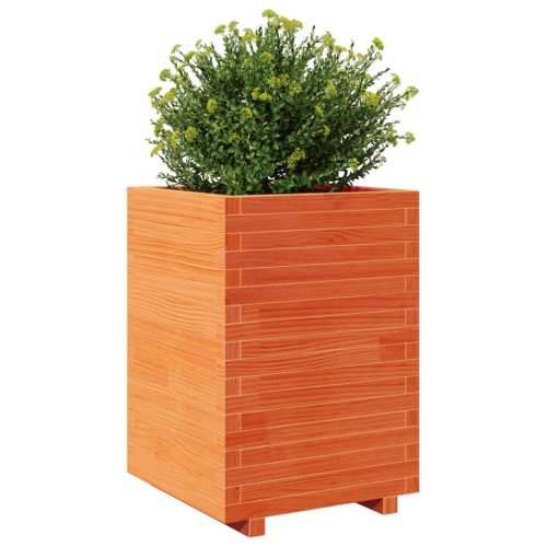 Vrtna sadilica voštano smeđe boje 50x50x72,5 cm od borovine - Voštano smeđa 50 x 50 x 72.5 cm 1 Cijena
