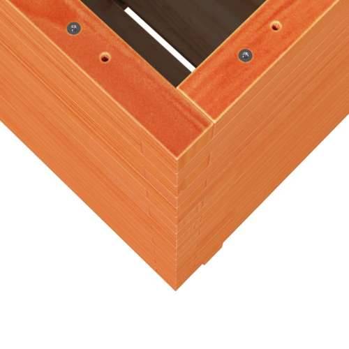Vrtna sadilica voštano smeđe boje 50x50x72,5 cm od borovine - Voštano smeđa 50 x 50 x 72.5 cm 1 Cijena