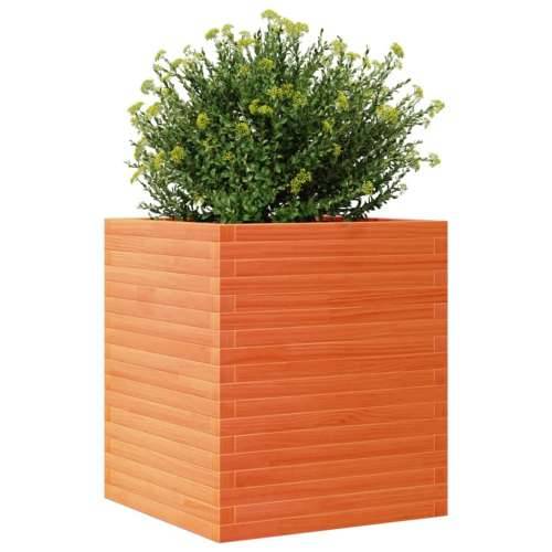 Vrtna sadilica voštano smeđe boje 60x60x68,5 cm od borovine - Voštano smeđa 60 x 60 x 68.5 cm 1 Cijena