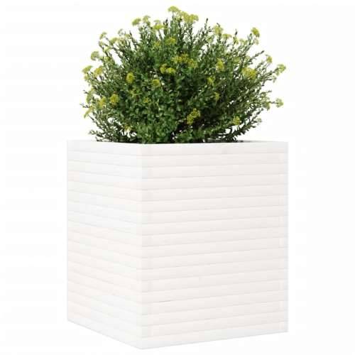 Vrtna sadilica bijela 60x60x68,5 cm od masivne borovine - Bijela 60 x 60 x 68.5 cm 1 Cijena