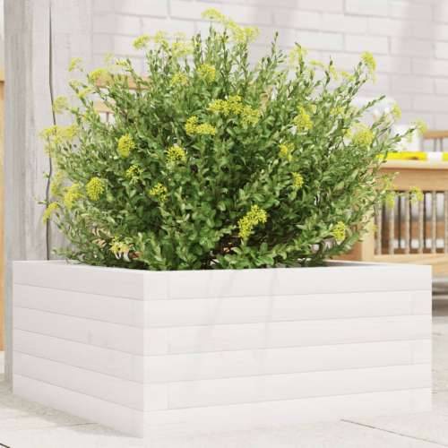 Vrtna sadilica bijela 50 x 50 x 23 cm od masivne borovine - Bijela 50 x 50 x 23 cm 1 Cijena