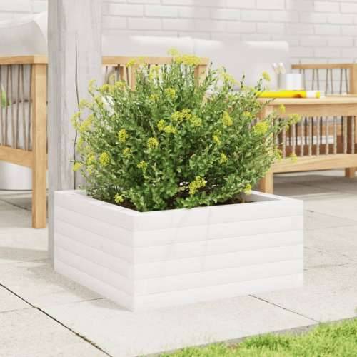Vrtna sadilica bijela 50 x 50 x 23 cm od masivne borovine - Bijela 50 x 50 x 23 cm 1 Cijena