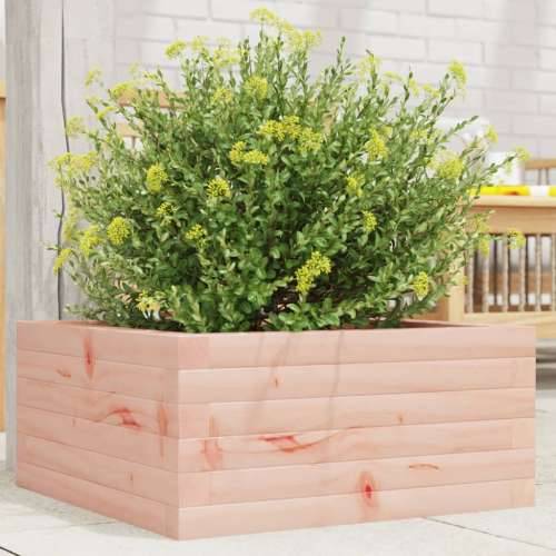 Vrtna sadilica 50 x 50 x 23 cm od masivnog drva duglazije - Prirodni douglas 50 x 50 x 23 cm 1 Cijena