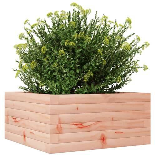 Vrtna sadilica 50 x 50 x 23 cm od masivnog drva duglazije - Prirodni douglas 50 x 50 x 23 cm 1 Cijena