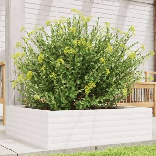 Vrtna sadilica bijela 80 x 80 x 23 cm od masivne borovine Bijela 80 x 80 x 23 cm 1 Cijena