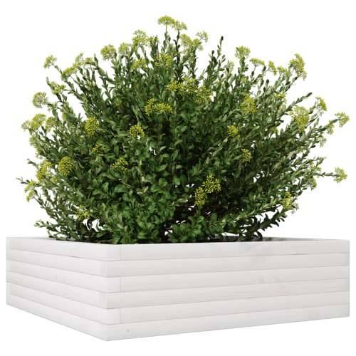 Vrtna sadilica bijela 80 x 80 x 23 cm od masivne borovine Bijela 80 x 80 x 23 cm 1 Cijena