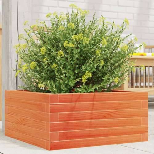 Vrtna sadilica voštano smeđa 50 x 50 x 23 cm masivna borovina - Voštano smeđa 50 x 50 x 23 cm 1 Cijena