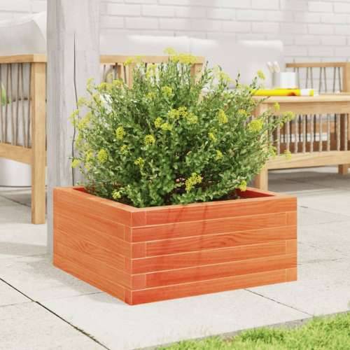 Vrtna sadilica voštano smeđa 50 x 50 x 23 cm masivna borovina - Voštano smeđa 50 x 50 x 23 cm 1 Cijena