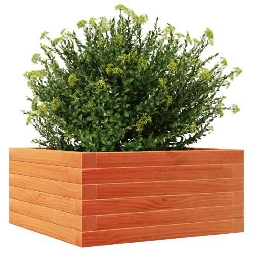 Vrtna sadilica voštano smeđa 50 x 50 x 23 cm masivna borovina - Voštano smeđa 50 x 50 x 23 cm 1 Cijena