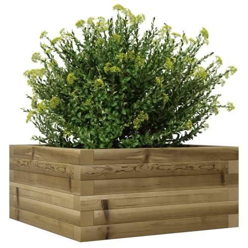 Vrtna sadilica 50 x 50 x 23 cm od impregnirane borovine - Prirodno impregnirano 50 x 50 x 23 cm 1 Cijena