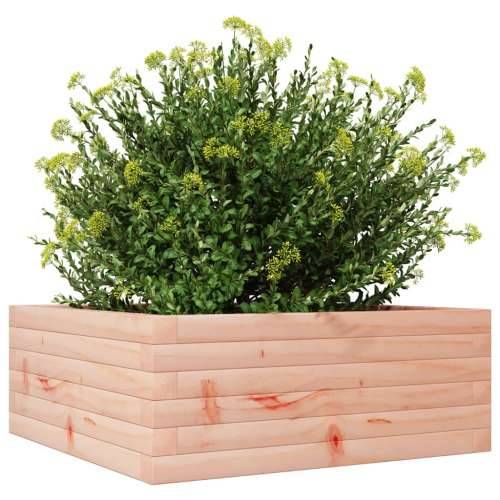 Vrtna sadilica 60 x 60 x 23 cm od masivnog drva duglazije - Prirodni douglas 60 x 60 x 23 cm 1 Cijena