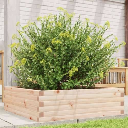 Vrtna sadilica 80 x 80 x 23 cm od masivne borovine - Prirodna boja bora 80 x 80 x 23 cm 1 Cijena