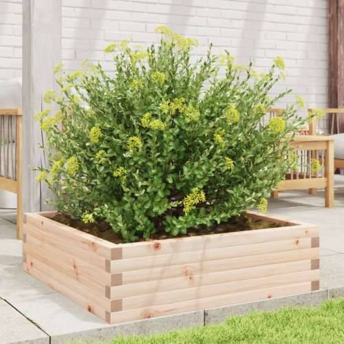 Vrtna sadilica 80 x 80 x 23 cm od masivne borovine - Prirodna boja bora 80 x 80 x 23 cm 1 Cijena