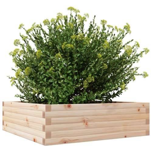 Vrtna sadilica 80 x 80 x 23 cm od masivne borovine - Prirodna boja bora 80 x 80 x 23 cm 1 Cijena