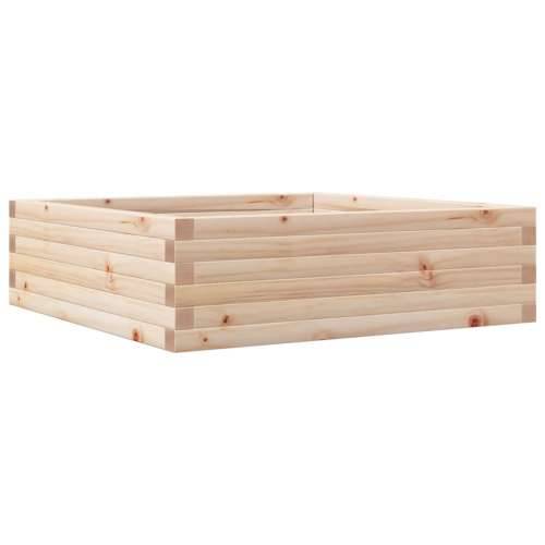 Vrtna sadilica 80 x 80 x 23 cm od masivne borovine - Prirodna boja bora 80 x 80 x 23 cm 1 Cijena