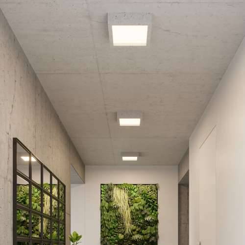 Stropna lampa RIZA beton Cijena