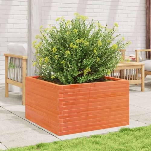 Vrtna sadilica voštano smeđe boje 80x80x45,5 cm od borovine - Voštano smeđa 80 x 80 x 45.5 cm 1 Cijena
