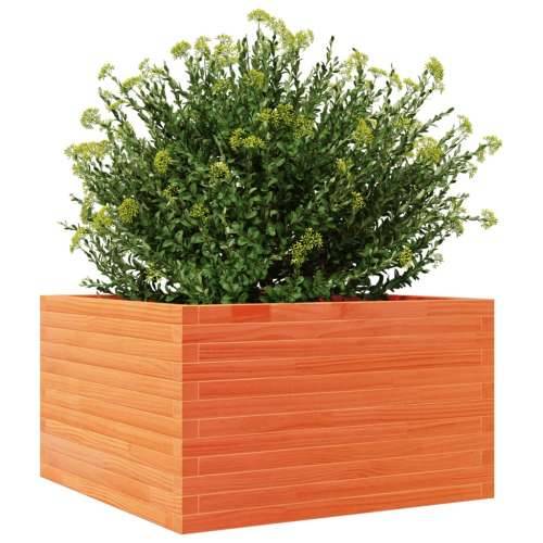 Vrtna sadilica voštano smeđe boje 80x80x45,5 cm od borovine - Voštano smeđa 80 x 80 x 45.5 cm 1 Cijena