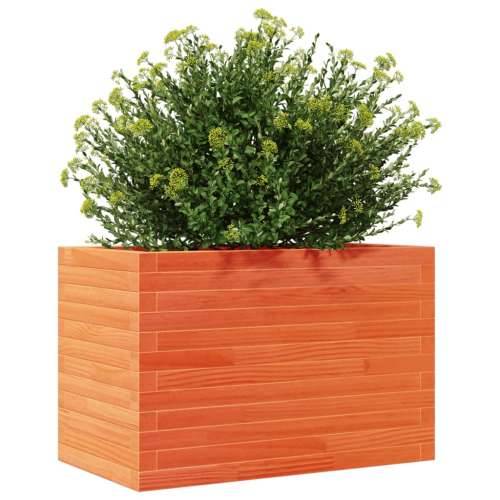 Vrtna sadilica voštano smeđe boje 70x40x45,5 cm od borovine - Voštano smeđa 70 x 40 x 45.5 cm 1 Cijena