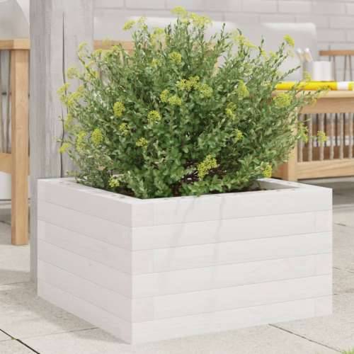 Vrtna sadilica bijela 40 x 40 x 23 cm od masivne borovine - Bijela 40 x 40 x 23 cm 1 Cijena