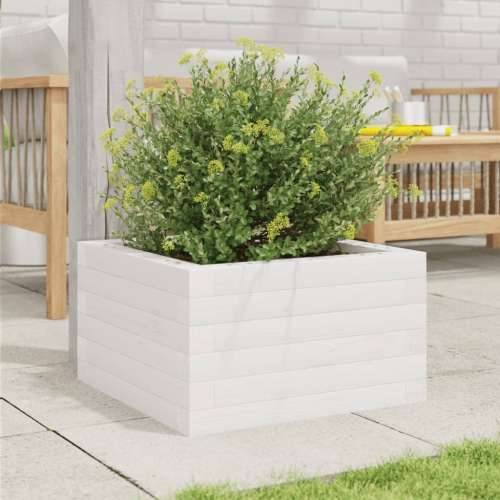 Vrtna sadilica bijela 40 x 40 x 23 cm od masivne borovine - Bijela 40 x 40 x 23 cm 1 Cijena