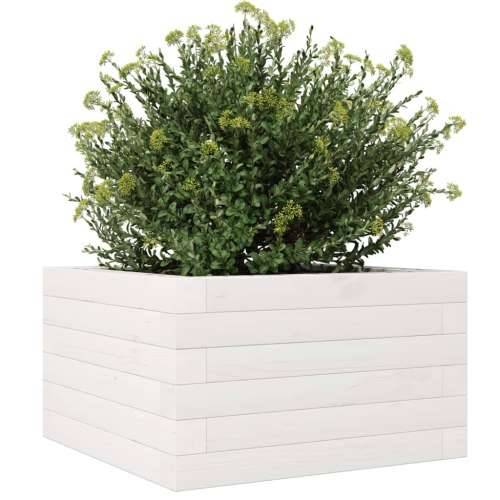 Vrtna sadilica bijela 40 x 40 x 23 cm od masivne borovine - Bijela 40 x 40 x 23 cm 1 Cijena