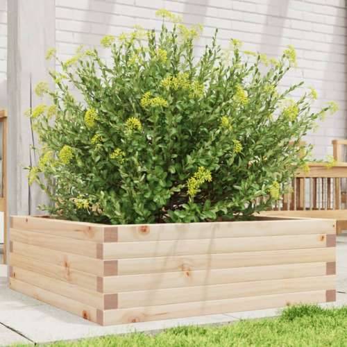 Vrtna sadilica 70x70x23 cm od masivne borovine - Prirodna boja bora 70 x 70 x 23 cm 1 Cijena