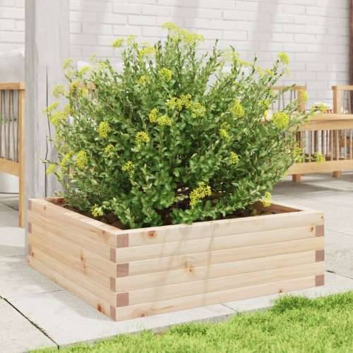 Vrtna sadilica 70x70x23 cm od masivne borovine - Prirodna boja bora 70 x 70 x 23 cm 1 Cijena