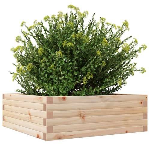 Vrtna sadilica 70x70x23 cm od masivne borovine - Prirodna boja bora 70 x 70 x 23 cm 1 Cijena
