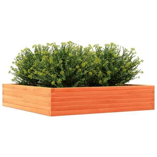 Vrtna sadilica voštano smeđa 110x110x23 cm masivna borovina - Voštano smeđa 110 x 110 x 23 cm 1 Cijena