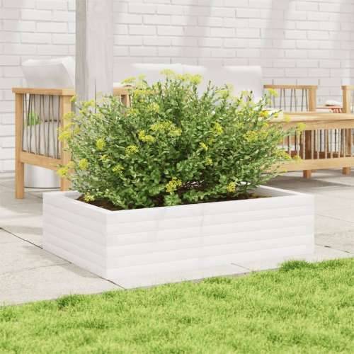 Vrtna sadilica bijela 90 x 60 x 23 cm od masivne borovine - Bijela 90 x 60 x 23 cm 1 Cijena