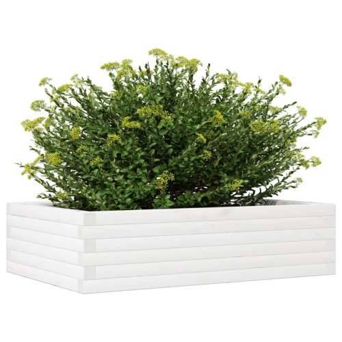 Vrtna sadilica bijela 90 x 60 x 23 cm od masivne borovine - Bijela 90 x 60 x 23 cm 1 Cijena