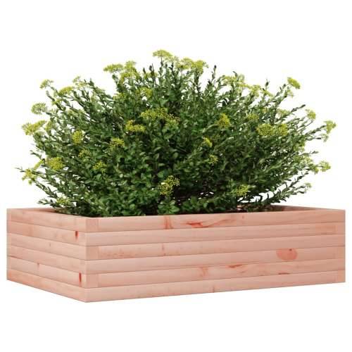Vrtna sadilica 90x60x23 cm od masivnog drva duglazije - Prirodni douglas 90 x 60 x 23 cm 1 Cijena