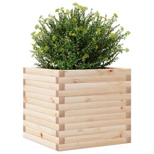 Vrtna sadilica 50x50x45,5 cm od masivne borovine - Prirodna boja bora 50 x 50 x 45.5 cm 1 Cijena