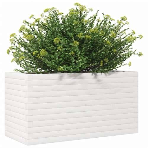 Vrtna sadilica bijela 90x40x45,5 cm od masivne borovine - Bijela 90 x 40 x 45.5 cm 1 Cijena