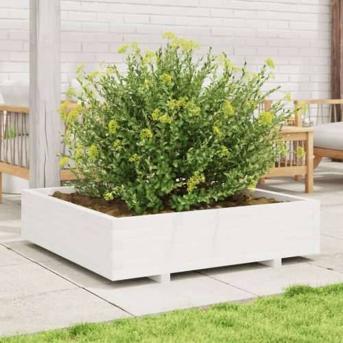 Vrtna sadilica bijela 100x100x26,5 cm od masivne borovine Cijena
