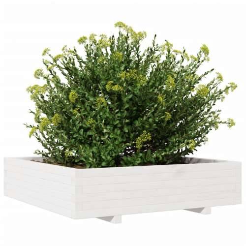 Vrtna sadilica bijela 100x100x26,5 cm od masivne borovine Cijena