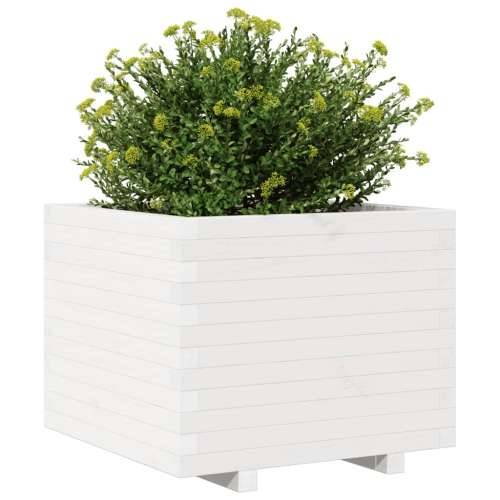 Vrtna sadilica bijela 60x60x49,5 cm od masivne borovine Cijena