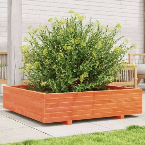 Vrtna sadilica voštano smeđa 100x100x26,5 cm masivna borovina Cijena