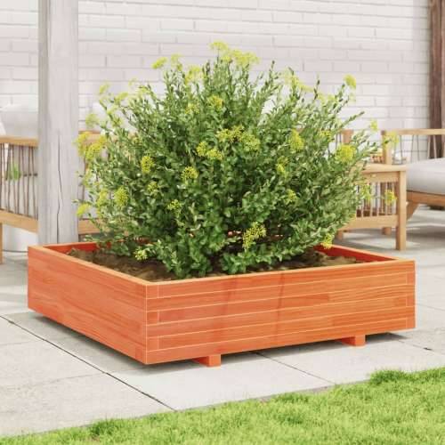Vrtna sadilica voštano smeđa 100x100x26,5 cm masivna borovina Cijena