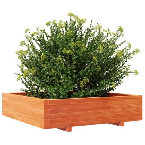 Vrtna sadilica voštano smeđa 100x100x26,5 cm masivna borovina Cijena