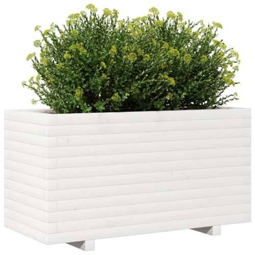 Vrtna sadilica bijela 90x40x49,5 cm od masivne borovine Cijena